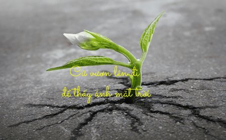 10 câu nói mang lại nghị lực cho bất kì ai