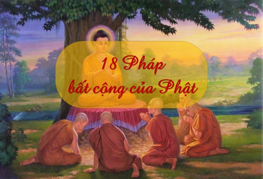 3. Phân tích sâu hơn về các pháp