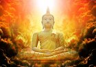 Kinh Trung Bộ Trọn Bộ 3 Tập