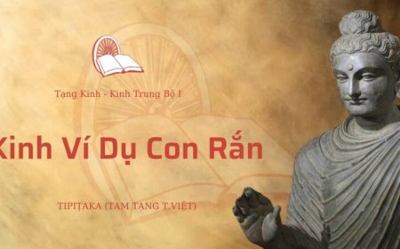 Kinh ví dụ con rắn (TB022)