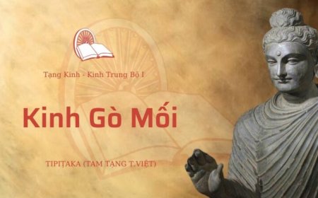 Kinh gò mối (TB023)