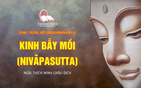 Kinh bẫy mồi (TB025)