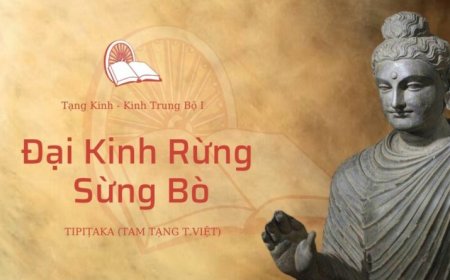 Đại kinh rừng sừng bò (TB032)