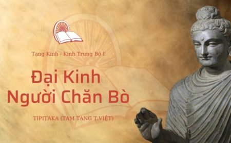 Đại kinh người chăn bò (TB033)