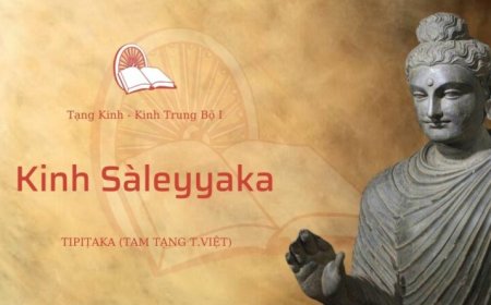 Kinh saleyyaka (TB041)