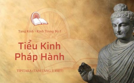 Tiểu kinh pháp hành (TB045)