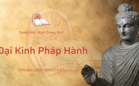 Đại kinh pháp hành (TB046)