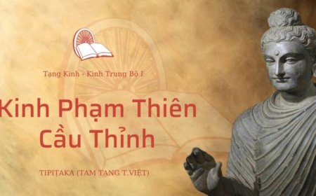 Kinh phạm thiên cầu thỉnh (TB049)