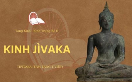 Kinh Jivaka (TB055)