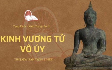 Kinh vương tử vô uý (TB058)