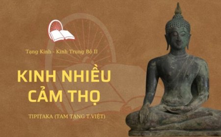 Kinh nhiều cảm thọ (TB059)