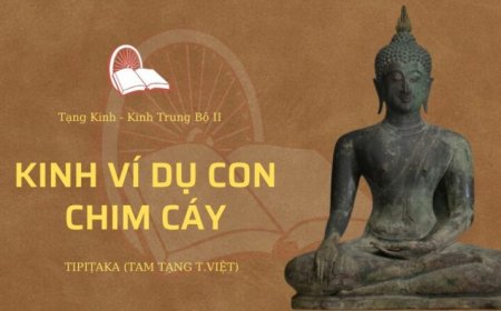 Kinh ví dụ con chim cáy (TB066)