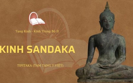 Kinh sandaka (TB076)
