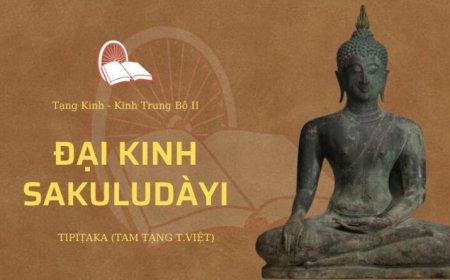 Đại kinh sakuludayi (TB077)