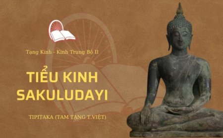 Tiểu kinh sakuludayi (TB079)