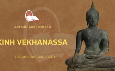 Kinh Vekhanassa (TB080)