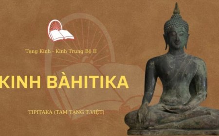 Kinh bahitika (TB088)