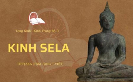Kinh sela (TB092)