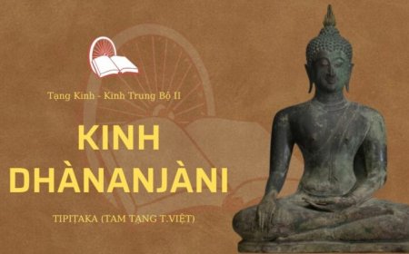Kinh dhananjani (TB097)