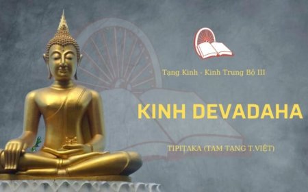 Kinh devadaha (TB101)