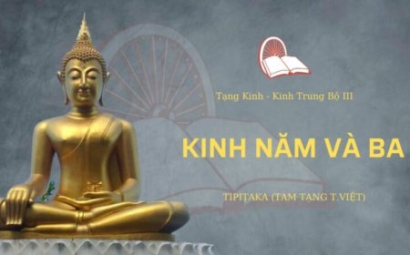 kinh năm và ba (TB102)