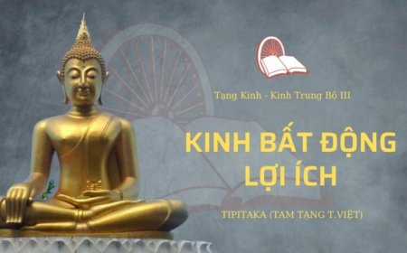 Kinh bất động lợi ích (TB106)