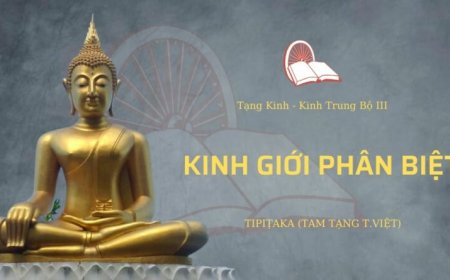 Kinh giới phân biệt (TB140)