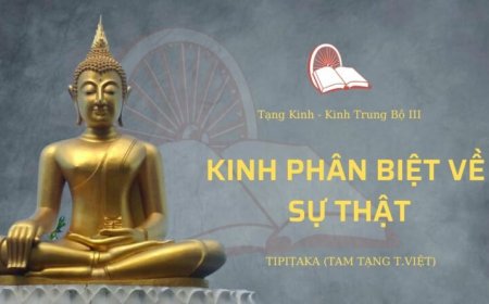 Kinh phân biệt về sự thật (TB141)