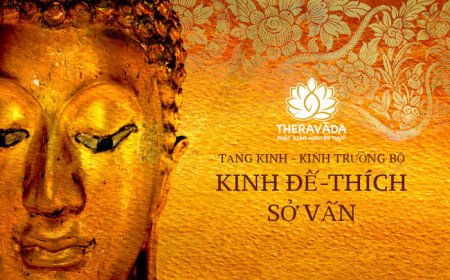 Kinh đế thích sở vấn 21