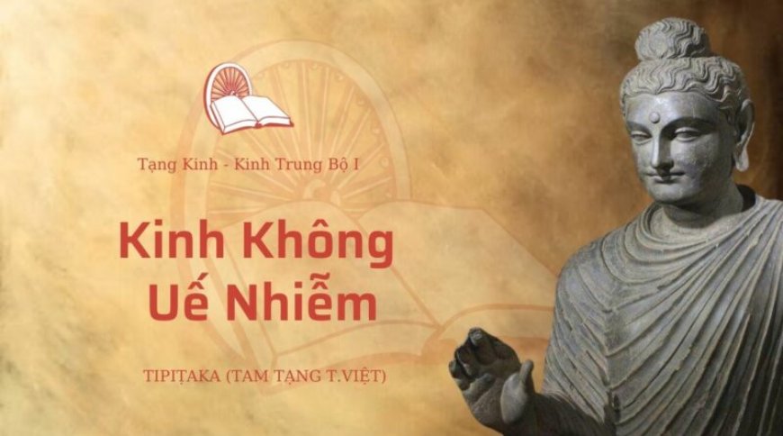 Kinh không uế nhiễm (TB005)