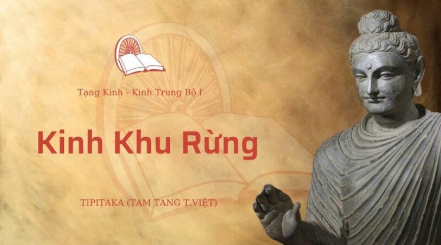Kinh khu rừng (TB017)