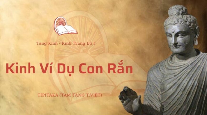 Kinh ví dụ con rắn (TB022)