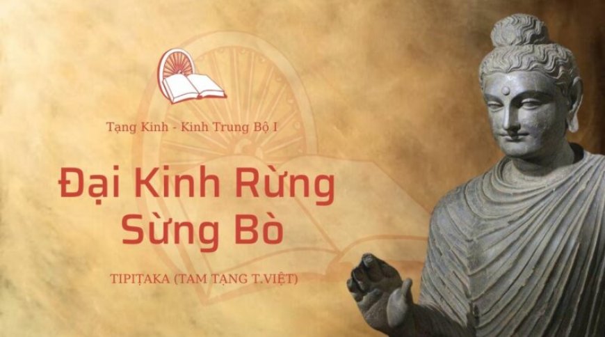 Đại kinh rừng sừng bò (TB032)