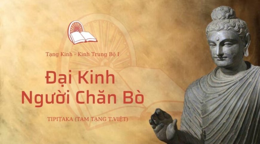 Đại kinh người chăn bò (TB033)