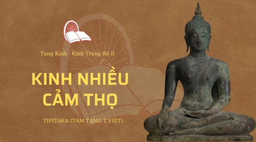 Kinh nhiều cảm thọ (TB059)