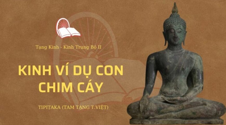 Kinh ví dụ con chim cáy (TB066)