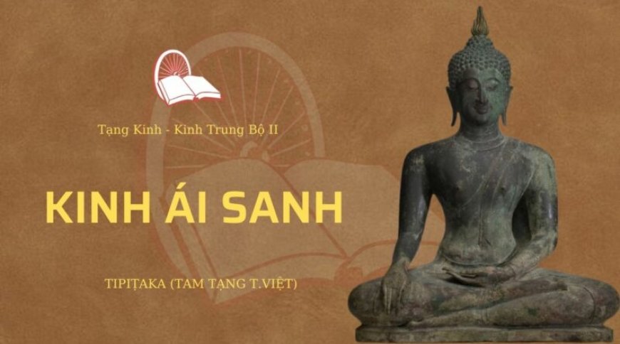 Kinh ái sanh (TB087)