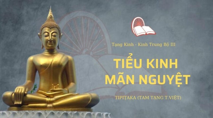 Tiểu kinh mãn nguyệt (TB110)