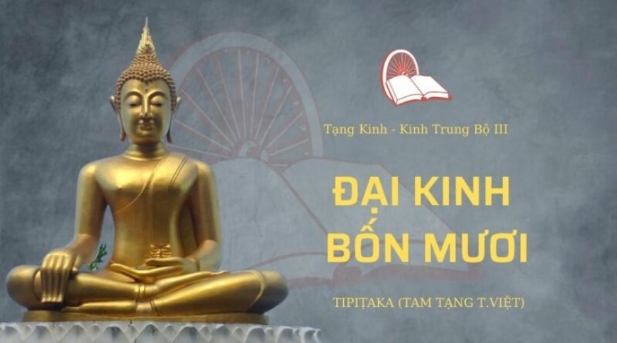 Đại kinh bốn mươi (TB117)