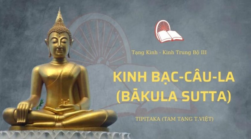 Kinh bạc câu la (TB124)