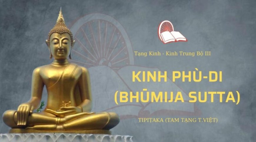 Kinh phù di (TB126)