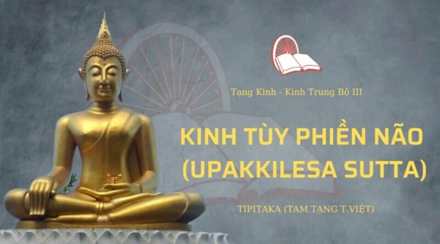 Kinh tuỳ phiền não (TB128)