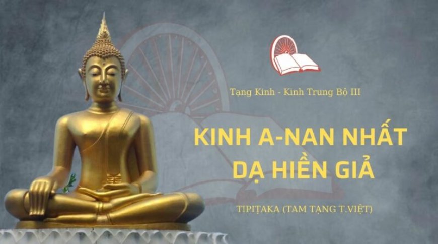 Kinh a nan nhất dạ hiền giả (TB132)