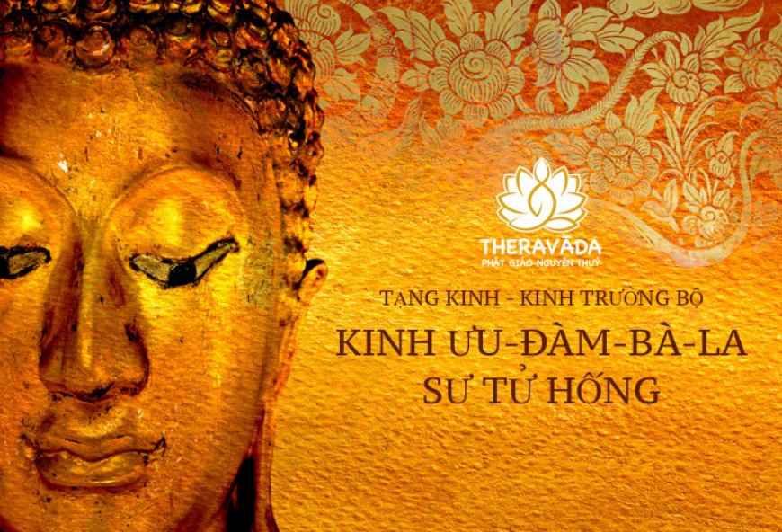 Kinh ưu đàm bà la sư tử hống 25