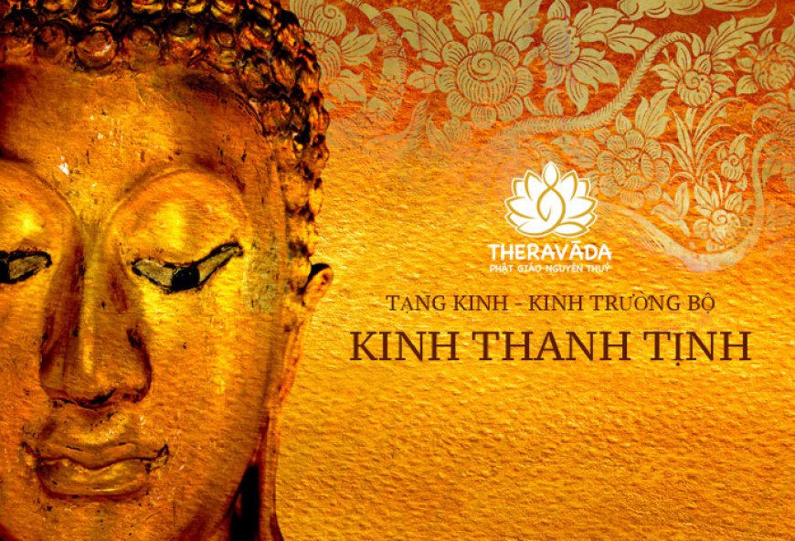 Kinh thanh tịnh 29