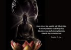 Thân này là quả đã thành