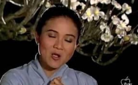 Thắm Đượm Tình Cha Thanh Ngân
