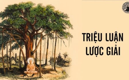 Triệu Luận Lược Giải Thích Duy Lực
