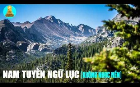 Nam Tuyền Ngữ Lục Thích Duy Lực