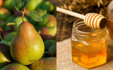 Trị ho tiêu đờm và làm dịu cổ họng do thay đổi thời tiết
